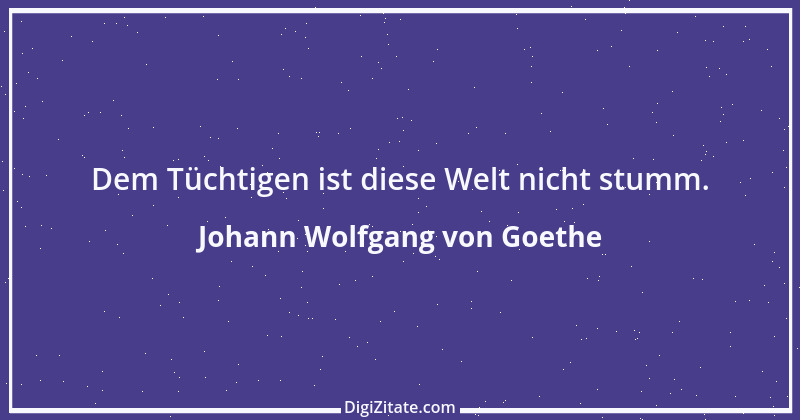 Zitat von Johann Wolfgang von Goethe 1105