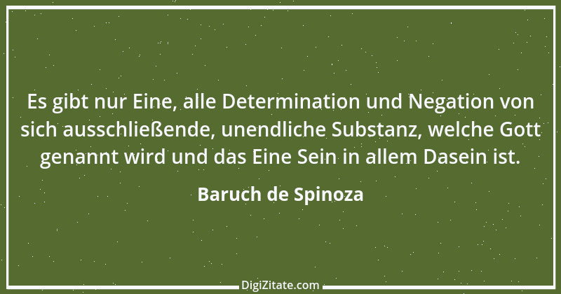 Zitat von Baruch de Spinoza 133