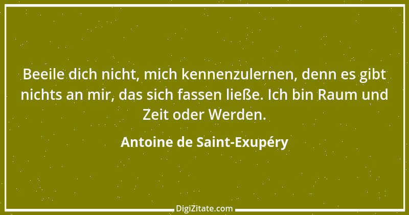 Zitat von Antoine de Saint-Exupéry 110