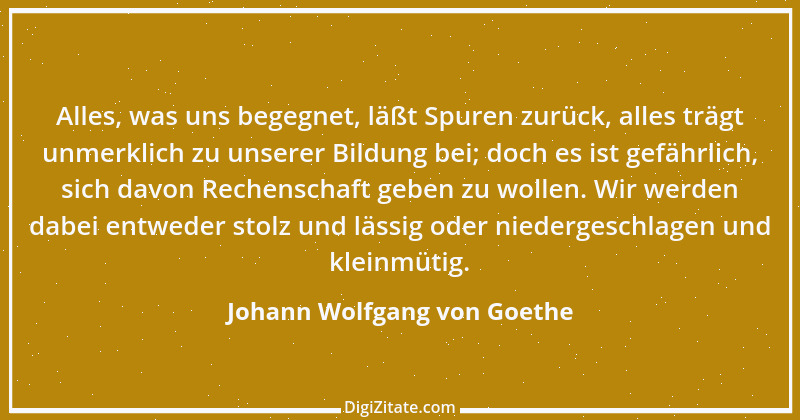 Zitat von Johann Wolfgang von Goethe 2106