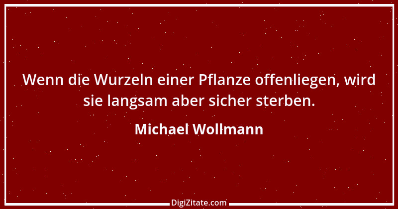 Zitat von Michael Wollmann 146