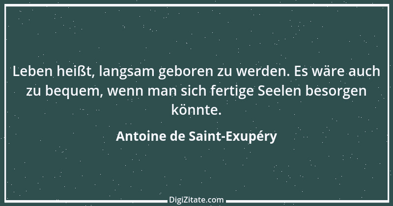 Zitat von Antoine de Saint-Exupéry 111