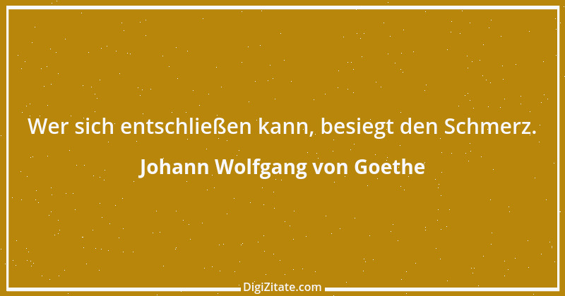 Zitat von Johann Wolfgang von Goethe 2107