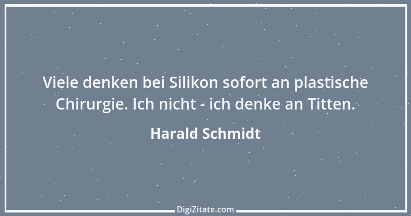 Zitat von Harald Schmidt 426