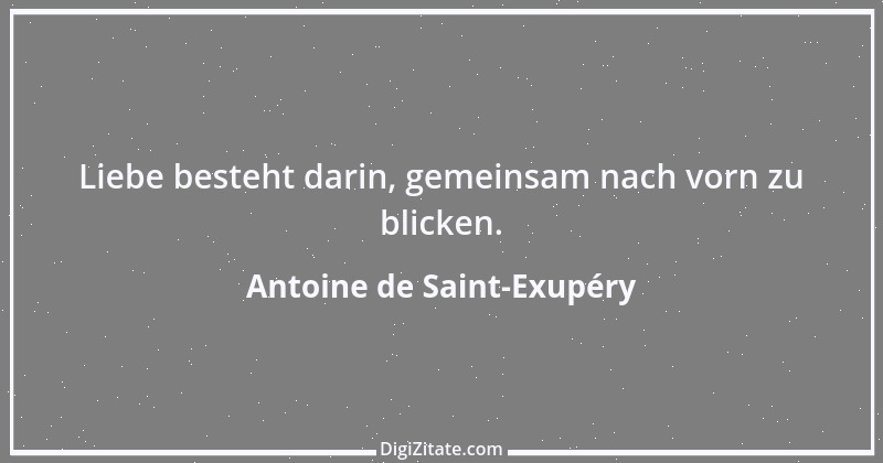 Zitat von Antoine de Saint-Exupéry 113