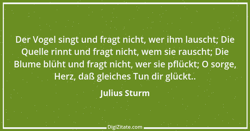 Zitat von Julius Sturm 16