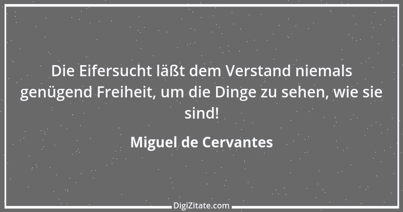 Zitat von Miguel de Cervantes 40