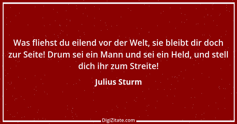 Zitat von Julius Sturm 17