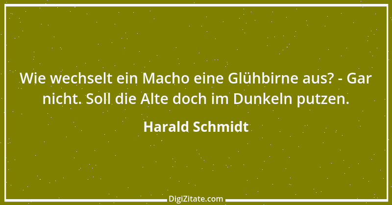 Zitat von Harald Schmidt 429