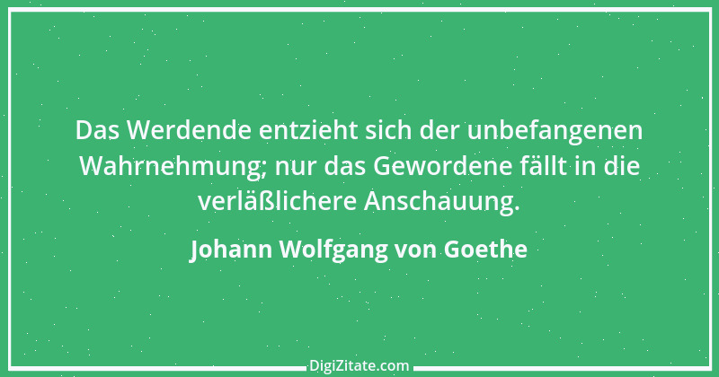 Zitat von Johann Wolfgang von Goethe 4111