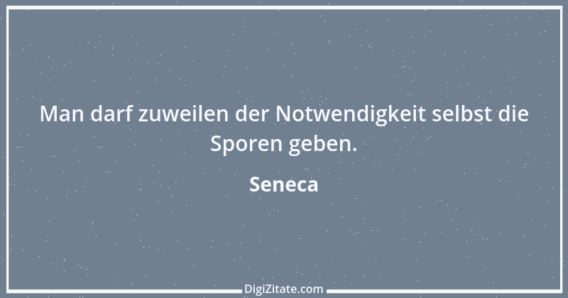 Zitat von Seneca 247