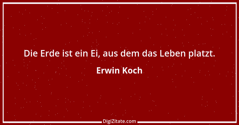 Zitat von Erwin Koch 243