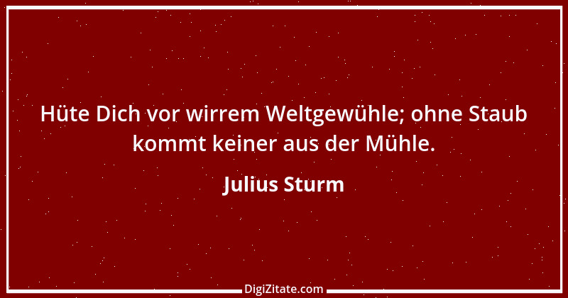 Zitat von Julius Sturm 19