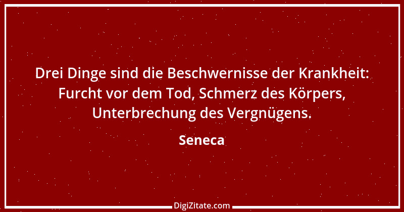 Zitat von Seneca 248