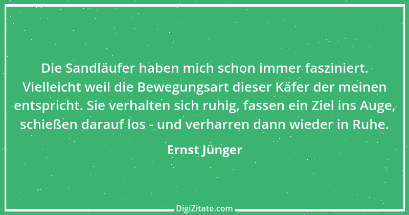 Zitat von Ernst Jünger 31