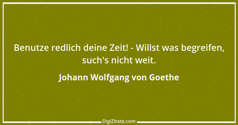 Zitat von Johann Wolfgang von Goethe 2113