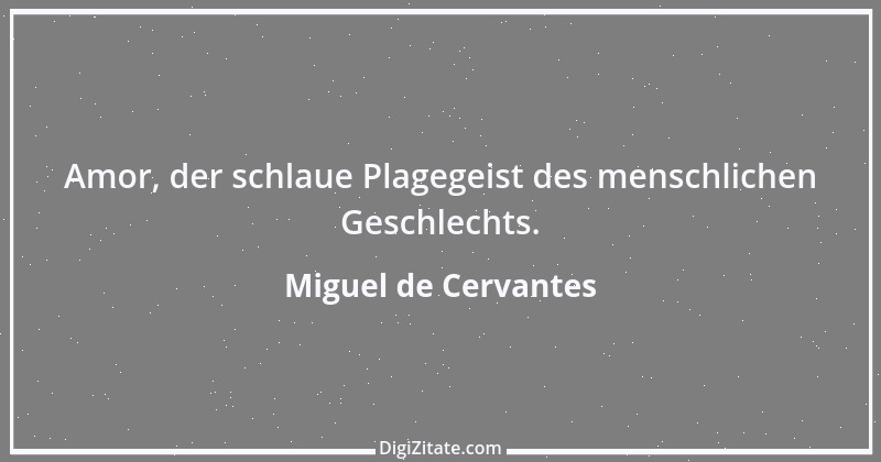 Zitat von Miguel de Cervantes 44