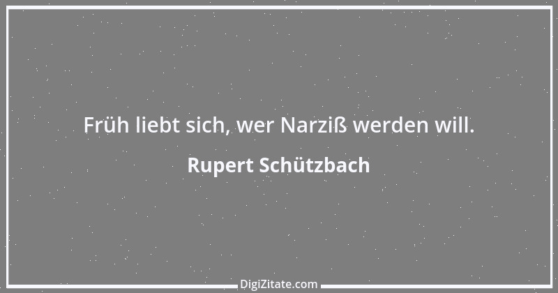 Zitat von Rupert Schützbach 16