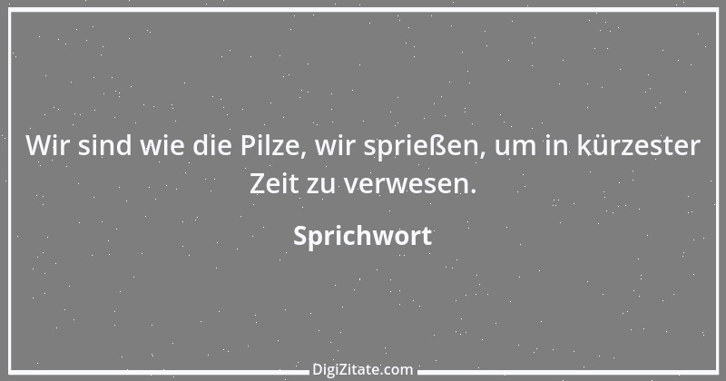 Zitat von Sprichwort 6105