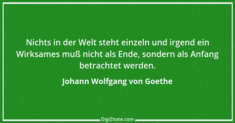 Zitat von Johann Wolfgang von Goethe 3115