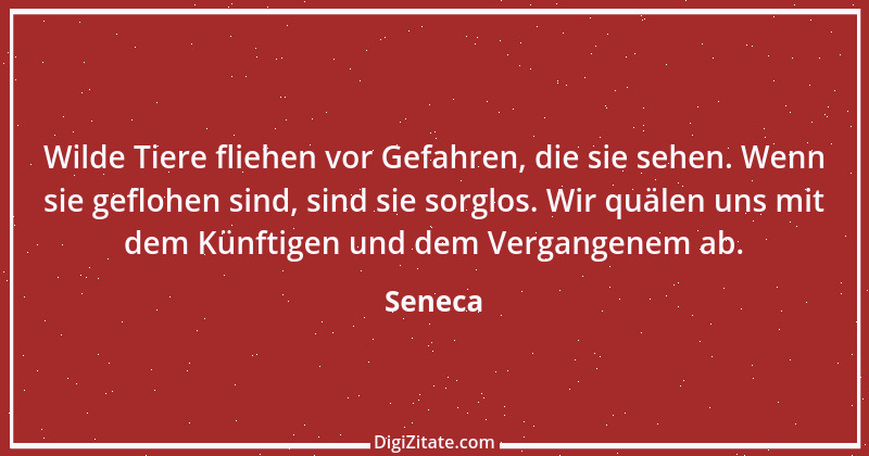 Zitat von Seneca 251