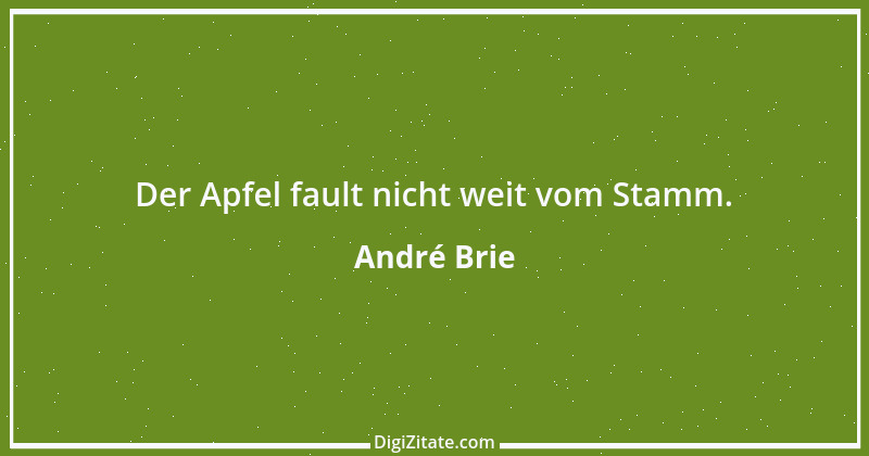 Zitat von André Brie 46