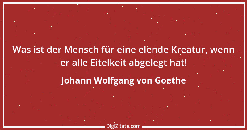 Zitat von Johann Wolfgang von Goethe 765