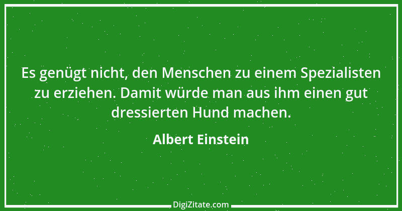 Zitat von Albert Einstein 203