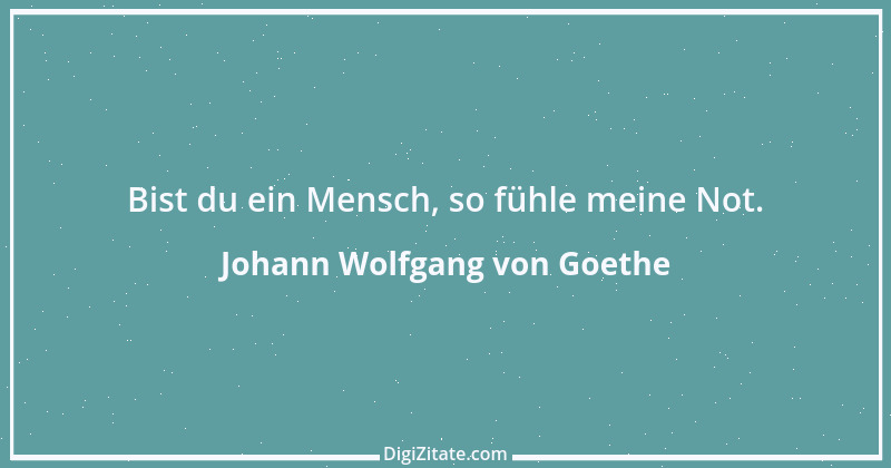 Zitat von Johann Wolfgang von Goethe 1116