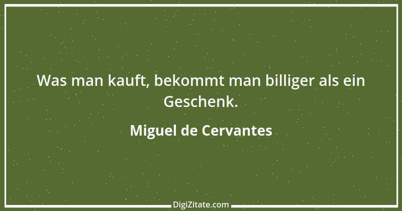 Zitat von Miguel de Cervantes 47