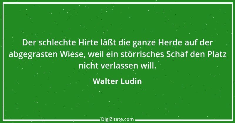 Zitat von Walter Ludin 618