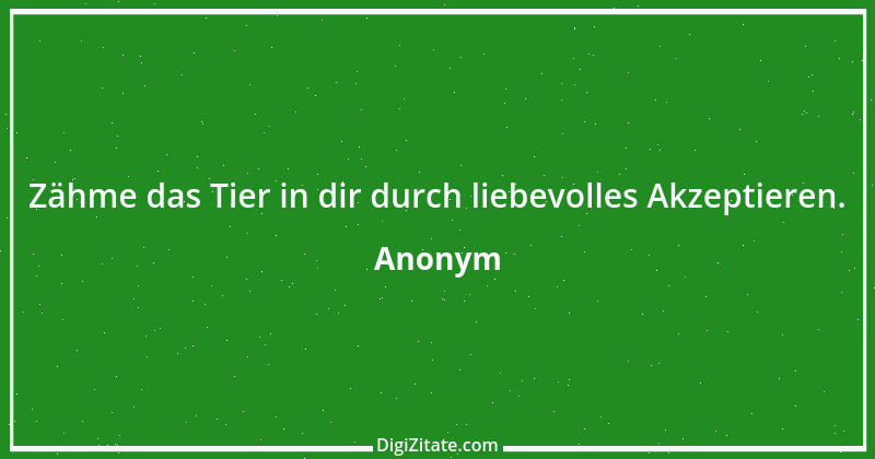 Zitat von Anonym 5085