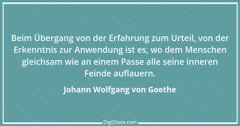 Zitat von Johann Wolfgang von Goethe 2119