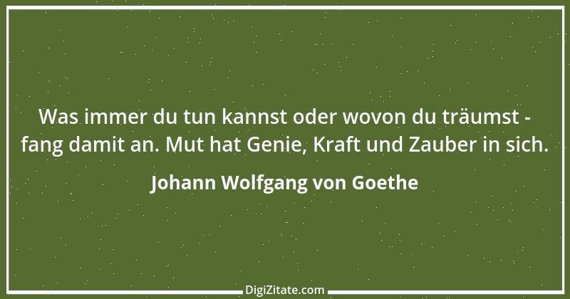 Zitat von Johann Wolfgang von Goethe 3119