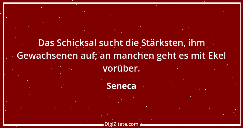 Zitat von Seneca 255