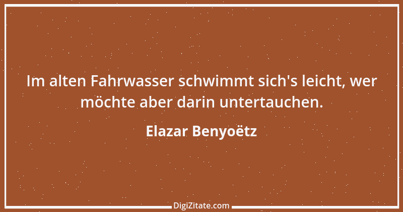 Zitat von Elazar Benyoëtz 73