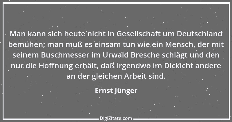 Zitat von Ernst Jünger 38