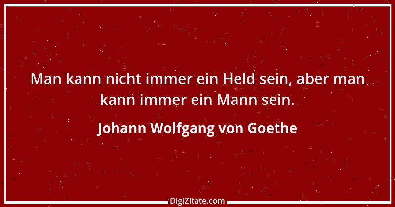 Zitat von Johann Wolfgang von Goethe 1120