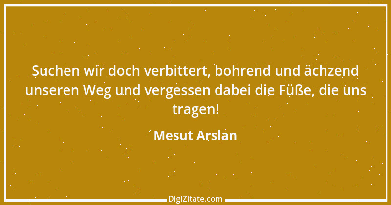 Zitat von Mesut Arslan 1