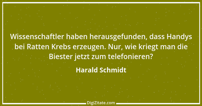 Zitat von Harald Schmidt 439