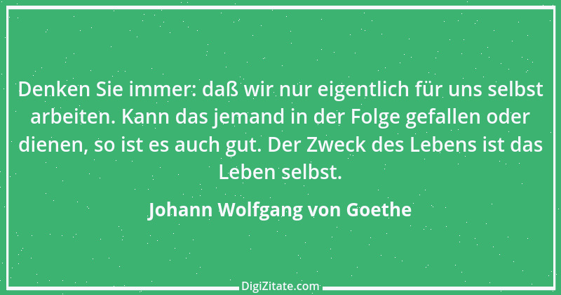 Zitat von Johann Wolfgang von Goethe 121