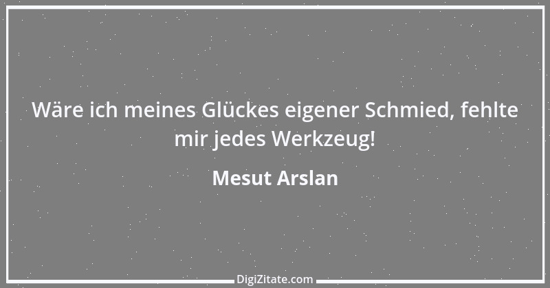 Zitat von Mesut Arslan 2