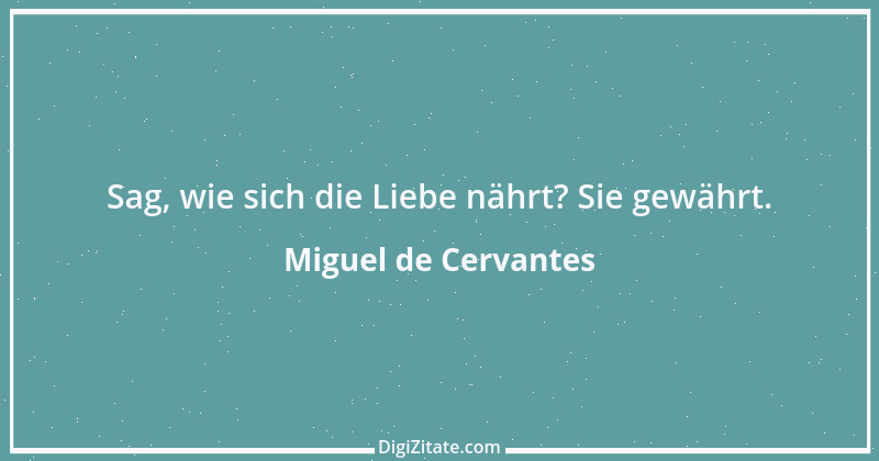 Zitat von Miguel de Cervantes 52