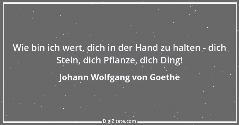 Zitat von Johann Wolfgang von Goethe 1122