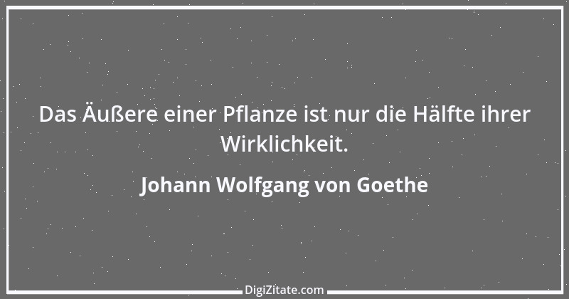 Zitat von Johann Wolfgang von Goethe 1123