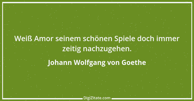 Zitat von Johann Wolfgang von Goethe 2123