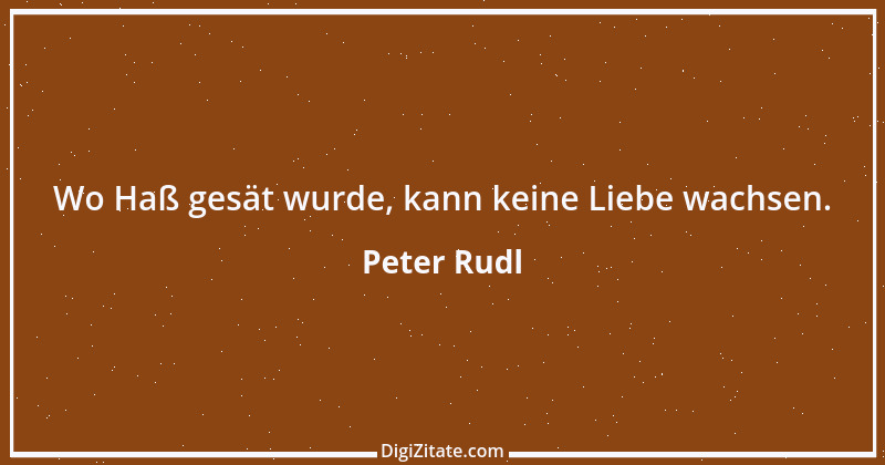 Zitat von Peter Rudl 397