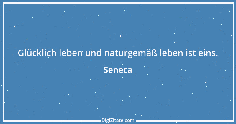 Zitat von Seneca 259