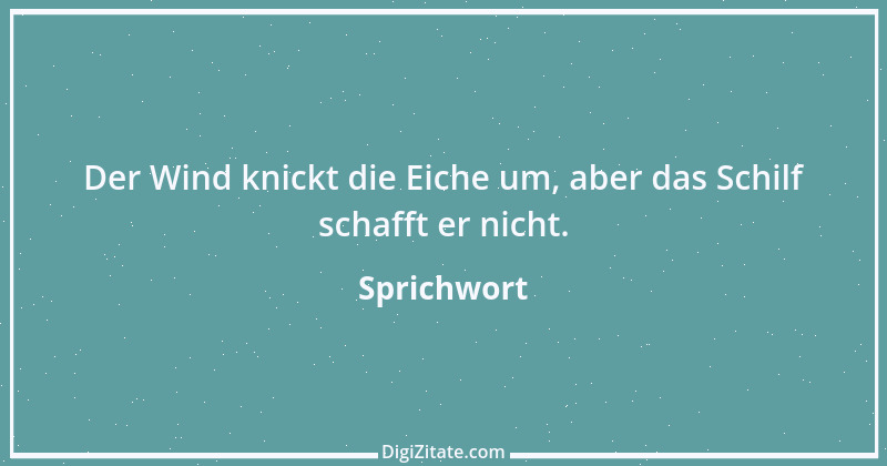 Zitat von Sprichwort 4115