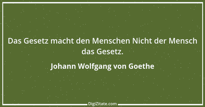 Zitat von Johann Wolfgang von Goethe 124